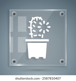 White Cactus peyote in pot icon isolated on grey background. Plant growing in a pot. Potted plant sign. Square glass panels. Vector