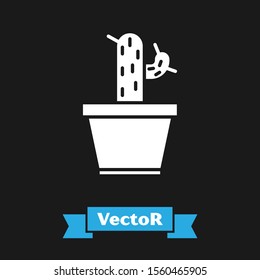 White Cactus and succulent in pot icon isolated on black background. Plant growing in a pot. Potted plant sign.  Vector Illustration
