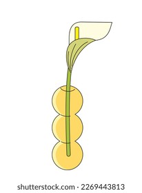 Calla blanca en un jarrón de vidrio. Resumen de la ilustración de vector dibujada a mano geométrica. Flor de primavera aislada en blanco.