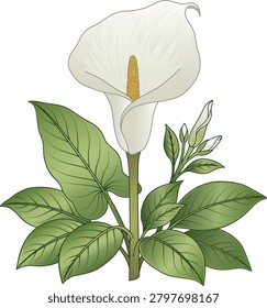 White Calla Lily Flower Decorative Wedding Design