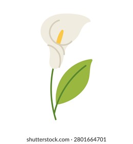 White calla lily with soft curve and vibrant green leaf. Simple, elegant design stands out on clean white background. Gentle lines evoke calm and purity in minimal style. Perfect for wellness, design