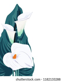 White callas lilies and leaves bouquet  elegant card. A spring decorations. Small floral garland. Vector illustration.