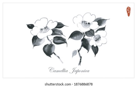 White camelia flowers on white background. Traditional Japanese ink wash painting sumi-e