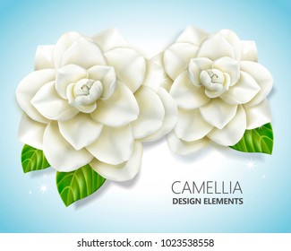 White camellia elements, elegant floral in 3d illustration for design and decoration uses