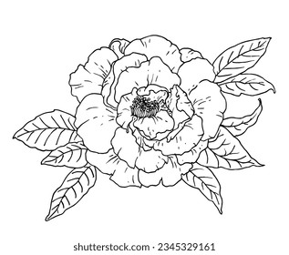 White Camellia tropical exotic flower blossom. Isolated vector botanical bouquet: retro vintage, hand drawn, black and white, outline. For wedding invitation, print card, tattoo. Illustration