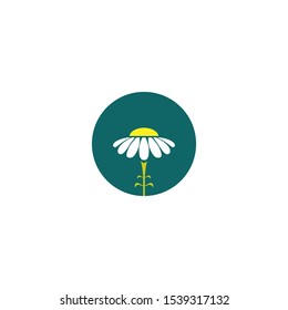 White camomile or daisy flower in blue circle. Floral, eco, fairy tale label. natural, organic symbol. Vector flat logo isolated on white.