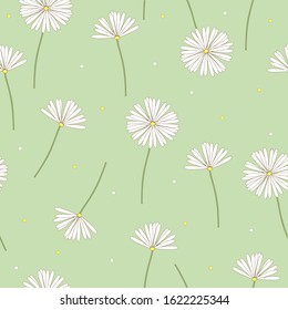 White camomile flowers, summer background.Vector illustration