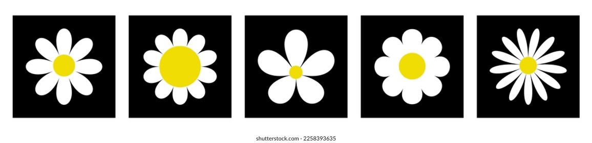 White camomile icon. Daisy chamomile set. Cute flower plant. Love card. Cartoon kawaii funny collection. Growing concept. Square black shape frame silhouette. Flat design. White background. Vector