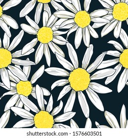 White Camomile on a black background. Seamless Pattern with pink daisy. Print for textile, vector.