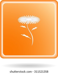 White Camomile, outline,  icon