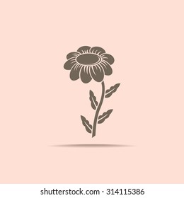 White Camomile vector icon