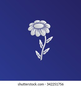 White Camomile vector icon