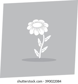 White Camomile vector icon