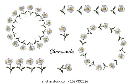 White camomiles. Set of decorative wreaths of isolated elements on a white background. Seamless brush. Botanical realistic doodling. Stock vector illustration.
