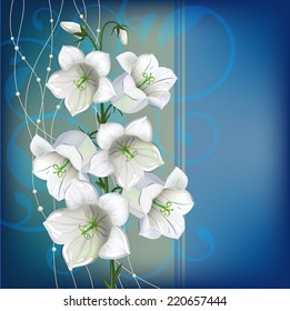 White campanula  on blue background, card.