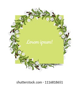 White campion flowers round wreath around green square on white background. Stock vector illustration.