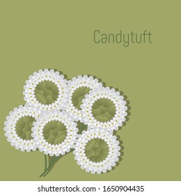 plantilla de fondo floral de caramelo blanco