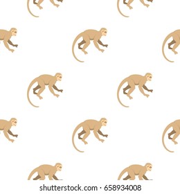 White capuchin pattern seamless for any design vector illustration