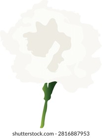 White carnation flower vector illustration isolated on white background, january birth flower design element