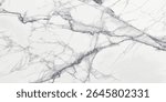 white carrara statuario marble texture background, calacatta glossy marble with grey streaks, satvario tiles, banco superwhite, ittalian blanco catedra stone texture for digital wall and floor tiles.