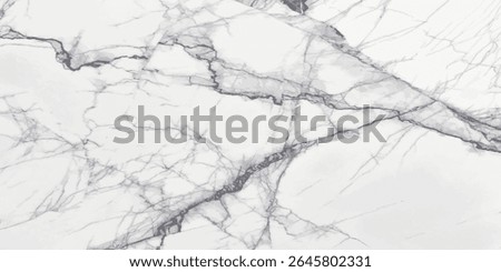 white carrara statuario marble texture background, calacatta glossy marble with grey streaks, satvario tiles, banco superwhite, ittalian blanco catedra stone texture for digital wall and floor tiles.