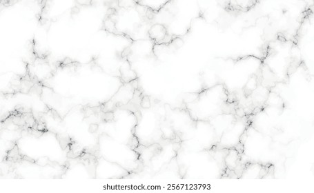 White Carrera marble stone texture. Marble with high resolution. Modern White and black marble texture for wall and floor tile wallpaper luxurious background.	