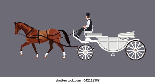 White carriage with bay horse and driver