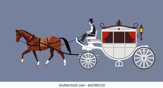 White carriage with bay stallion and coachman