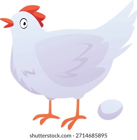 White cartoon chicken with one egg, isolated background. Domestic animal, farming, agriculture, poultry farming. Cute character, laying hen. Vector illustration. Flat style. Isolated background.