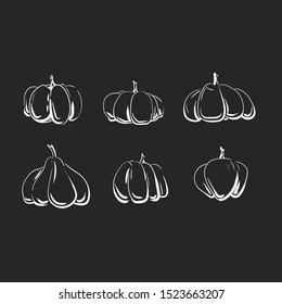 White cartoon doodle style vector set of linear pumpkins on the blackboard background