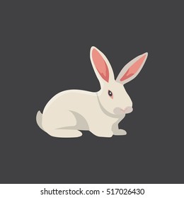white cartoon rabbit vector isolated