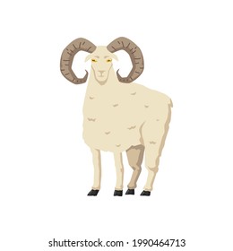 White cartoon ram sheep with curved horns isolated on white background - domestic farm animal with serious expression, flat vector illustration