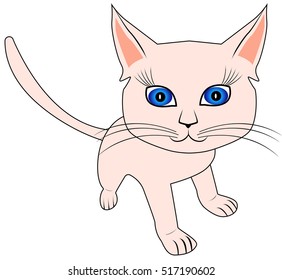 white cat