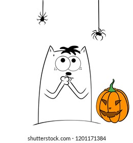 The white cat was afraid of crawling spiders. Halloween.