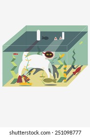White cat in the aquarium is trying to catch fish in the mask