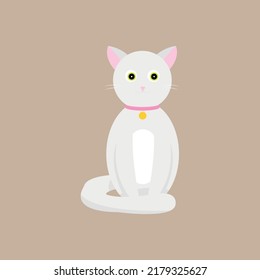 Aristócrata del gato blanco con cuello rosa