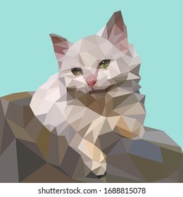 El gato blanco se cae al sol y se regocija en primavera