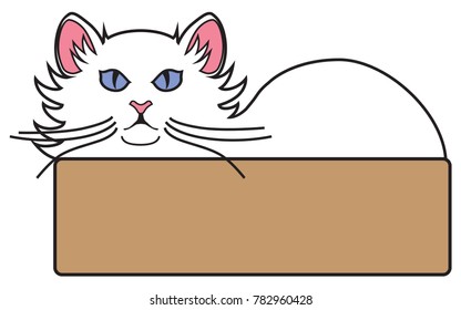 A white cat with blue eyes is lying in bed