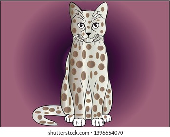 White cat with brown spots vector illustrator image