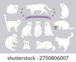 White cat character set in various poses