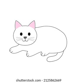 Un gato blanco con una copia 