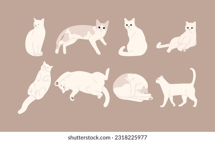 white cat cute 12 on a brown background, vector illustration.