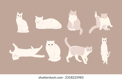 gato blanco lindo 13 sobre fondo marrón, ilustración vectorial.