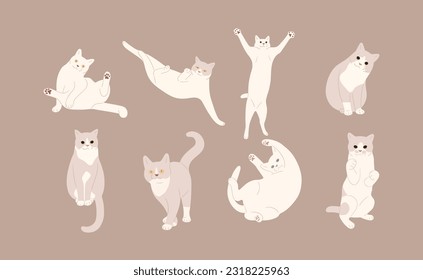 white cat cute 14 on a brown background, vector illustration.