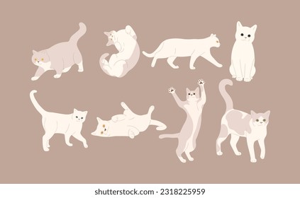 white cat cute 15 on a brown background, vector illustration.