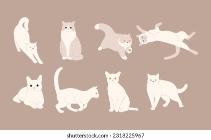 gato blanco lindo 6 sobre fondo marrón, ilustración vectorial.