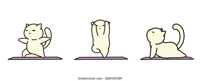 A white cat doing yoga. various yoga poses.