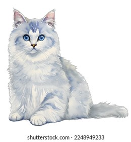 white cat drawn digital painting watercolor illustration