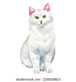 white cat drawn digital painting watercolor illustration