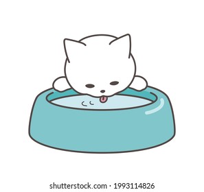 A White Cat Drinking Water. 